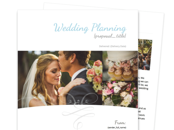 Wedding Planner Proposal Template Proposable